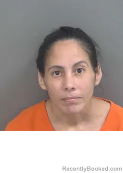 Mugshot of KATIUSKA LORES-HERRERA