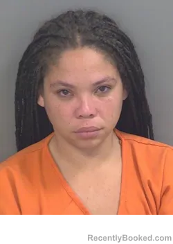 Mugshot of AILIN DAYANA ABREUACUNA