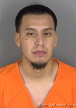 Mugshot of RUDY CASTILLO
