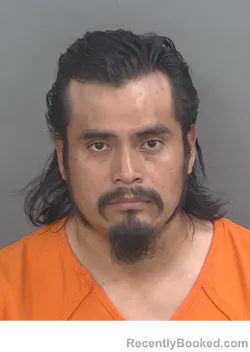 Mugshot of ELI RAMIREZVELASQUEZ