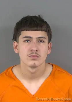 Mugshot of ANTHONY RAMIREZ
