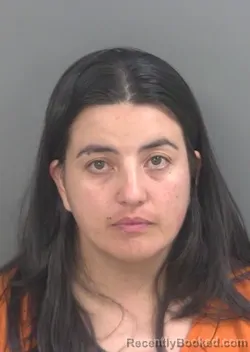 Booking photo from Collier County, Florida