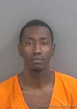 Mugshot of DEIDRE HUDLIN MICHEL