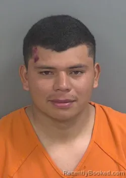 Mugshot of HENRYJAVIER CUBASRAMIREZ