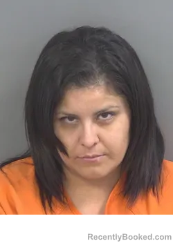 Mugshot of ERIKA CRUZ