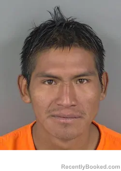 Mugshot of ARTURO SALES-LOPEZ