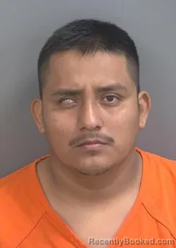 Mugshot of MARLON CHICQUICHE