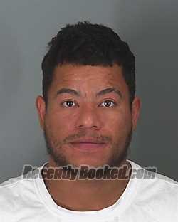 Booking photo from Spartanburg County, South Carolina