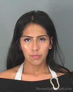 Booking photo from Spartanburg County, South Carolina