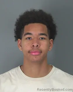 Mugshot of TORROSE WILLIAMS