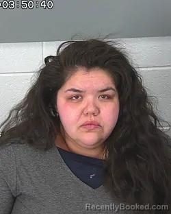 Mugshot of ERIKA BARAJAS