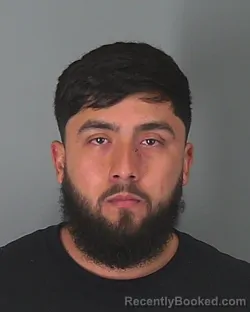 Mugshot of JOSE GONZALEZ-FLORES