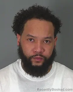 Mugshot of VINCENT JONES