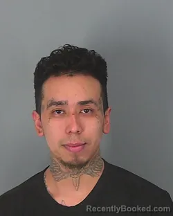 Mugshot of LUIS MANCILLA