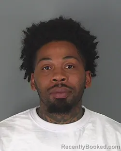 Mugshot of PAUL WILSON