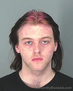 Mugshot of TALAN MARVIN