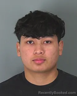 Booking photo from Spartanburg County, South Carolina