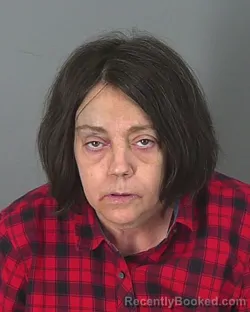 Booking photo from Spartanburg County, South Carolina