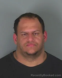 Mugshot of NELSON APONTE