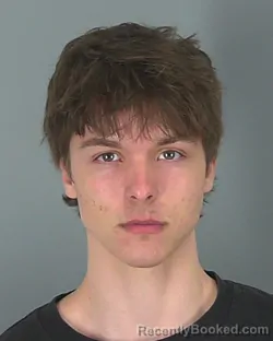 Mugshot of DANIEL MOROZ