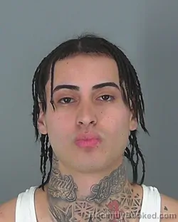 Mugshot of DIEGO CAMPOS-PAEZ