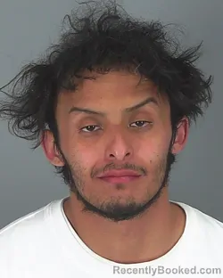 Mugshot of PABLO PEREZ