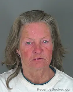 Mugshot of TAMMY GREEN
