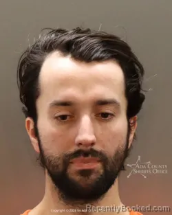 Mugshot of Adnan Grosic