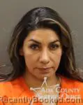 Mugshot of Yadira Vega