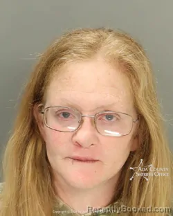 Mugshot of Bridget Ann Johnson