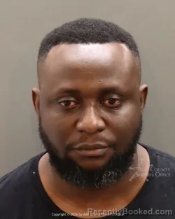 Mugshot of Mandala Chibichibi