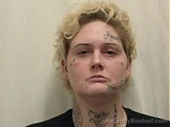 Booking photo from Bannock County, Idaho