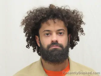 Mugshot of NAEL NAZAR A ALNASR
