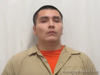 Mugshot of BRIAN LYLE MEANS