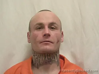 Mugshot of JONATHAN LYNN HENERY