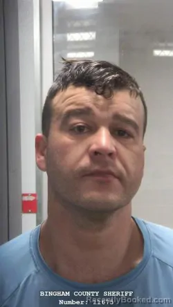 Mugshot of PETER WILLIAM HARPER