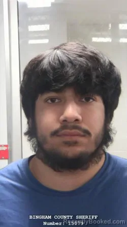 Mugshot of LUIS ANGEL SANCHEZ