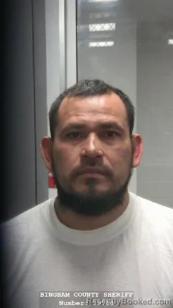 Mugshot of JOSE OMAR ROSALES LEDESMA