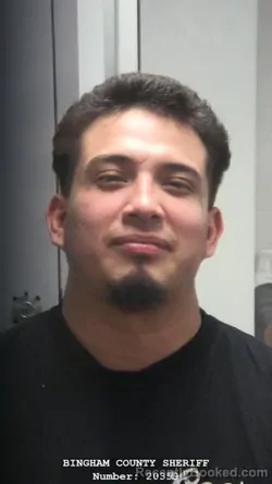 Mugshot of JOSE ALEJANDRO LOPEZ-SOTELO