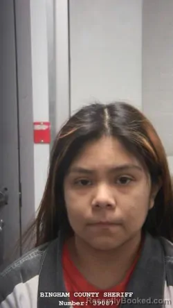 Mugshot of VIVICA AVALOU NAPPO