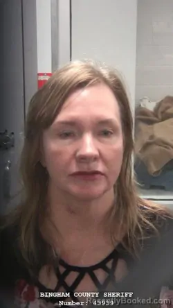 Mugshot of HOLLY ANN JOHNSON