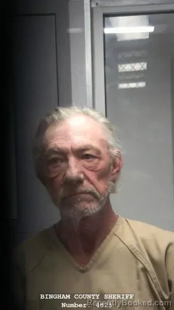 Mugshot of HOWARD DELYNN ALBERT