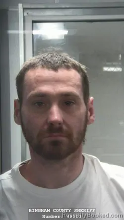 Mugshot of MICHAEL SCOTT WOMACK