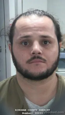 Mugshot of SHAUN ROYCE TURPIN