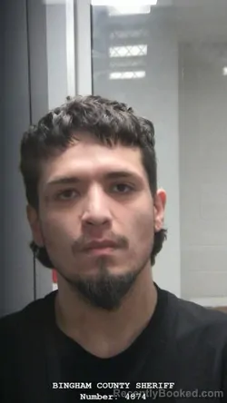 Mugshot of IVAN ZAMORA RIVERA