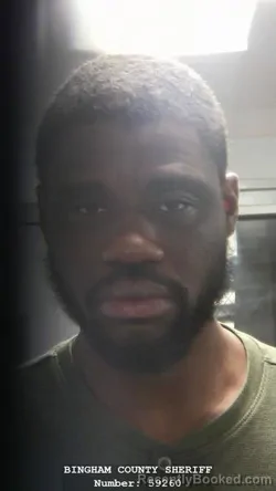 Mugshot of MIRCALY PIERRE