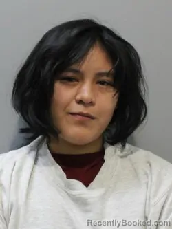 Mugshot of BETHY ALZAMORA SIMON