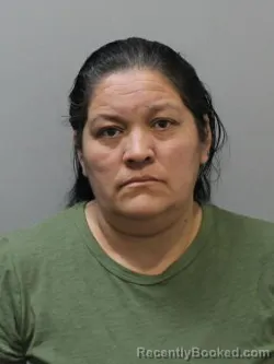 Mugshot of ANTOINETTE CUETO DIAZ