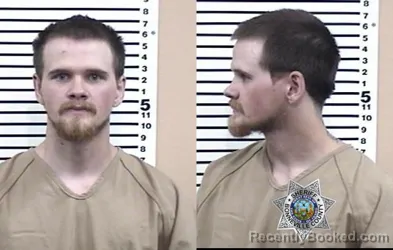 Mugshot of IAN MATTHEW PALMER