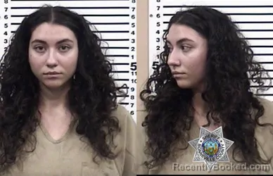 Mugshot of SERENITY SKYE LERWILL